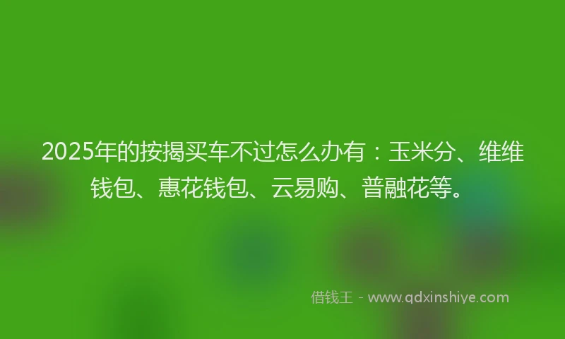 2025年的按揭买车不过怎么办有：玉米分、维维钱包、惠花钱包、云易购、普融花等。