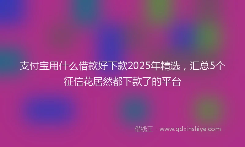 支付宝用什么借款好下款2025年精选，汇总5个征信花居然都下款了的平台