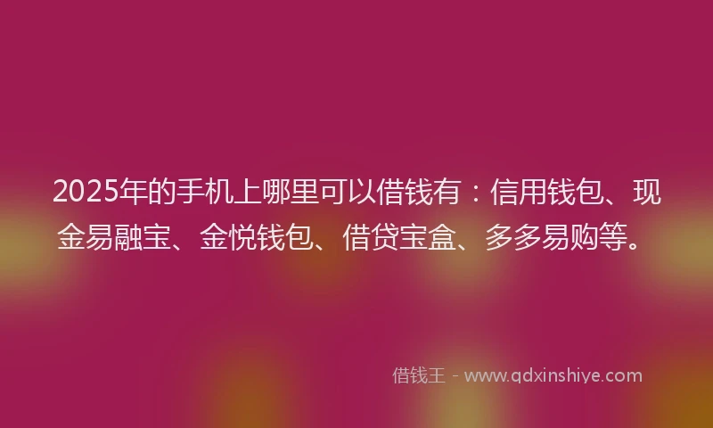 2025年的手机上哪里可以借钱有：信用钱包、现金易融宝、金悦钱包、借贷宝盒、多多易购等。