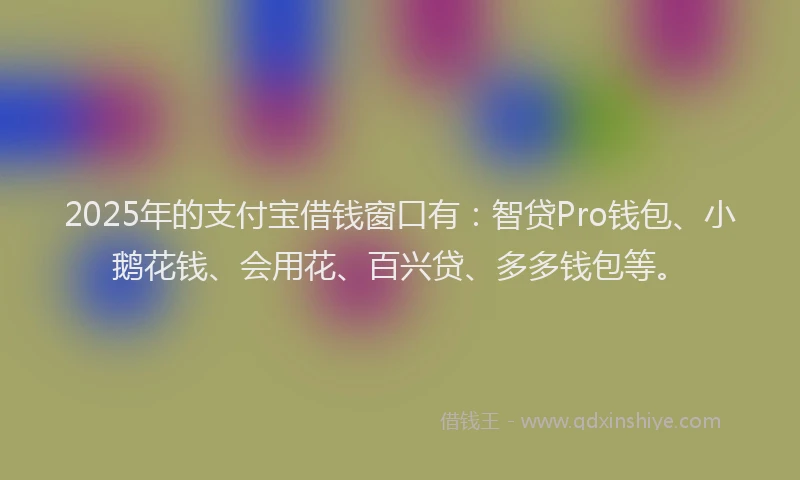 2025年的支付宝借钱窗口有：智贷Pro钱包、小鹅花钱、会用花、百兴贷、多多钱包等。