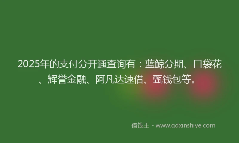 2025年的支付分开通查询有：蓝鲸分期、口袋花、辉誉金融、阿凡达速借、甄钱包等。