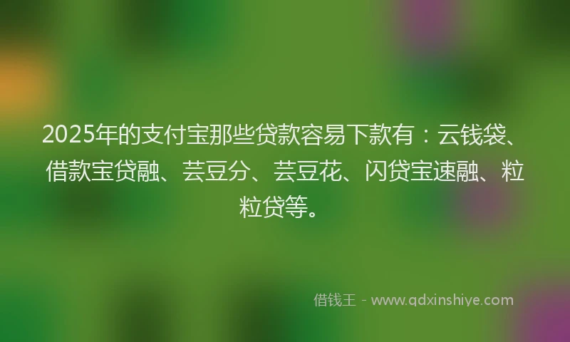 2025年的支付宝那些贷款容易下款有：云钱袋、借款宝贷融、芸豆分、芸豆花、闪贷宝速融、粒粒贷等。