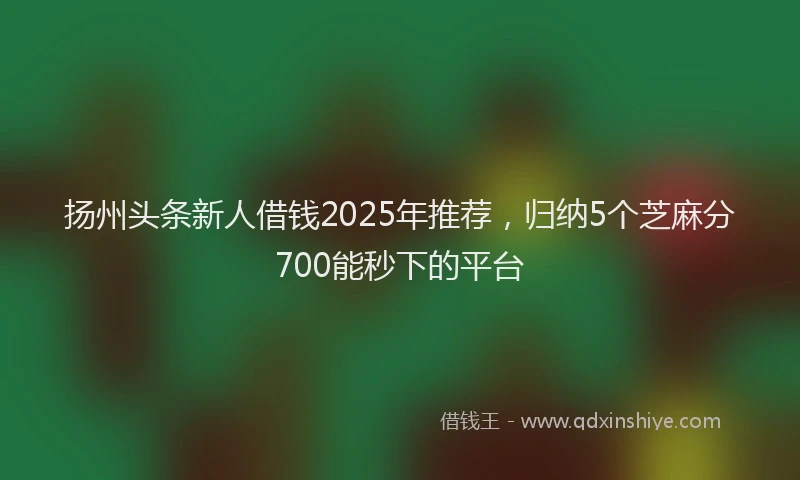 扬州头条新人借钱2025年推荐，归纳5个芝麻分700能秒下的平台