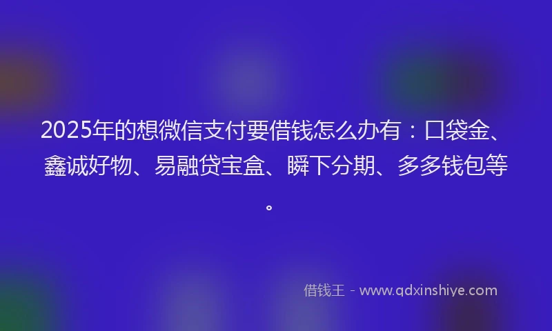 2025年的想微信支付要借钱怎么办有：口袋金、鑫诚好物、易融贷宝盒、瞬下分期、多多钱包等。