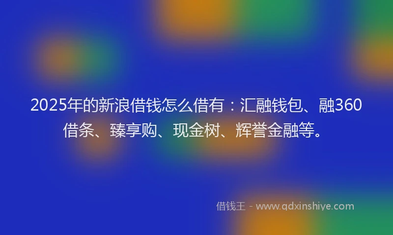 2025年的新浪借钱怎么借有：汇融钱包、融360借条、臻享购、现金树、辉誉金融等。