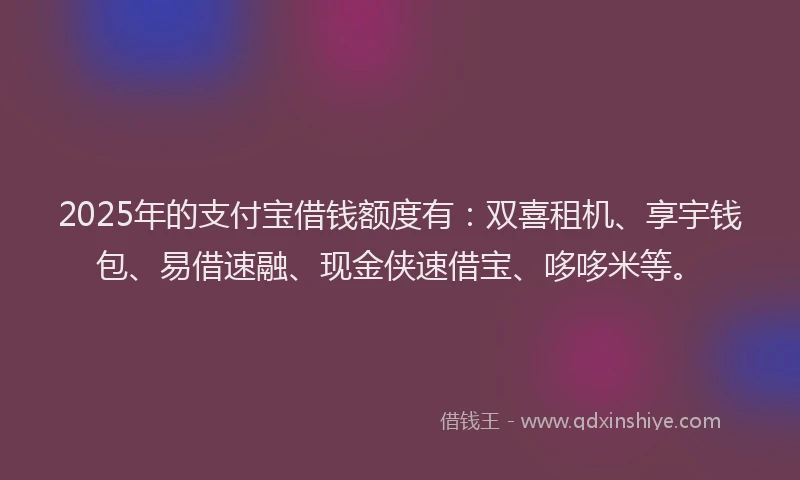 2025年的支付宝借钱额度有：双喜租机、享宇钱包、易借速融、现金侠速借宝、哆哆米等。