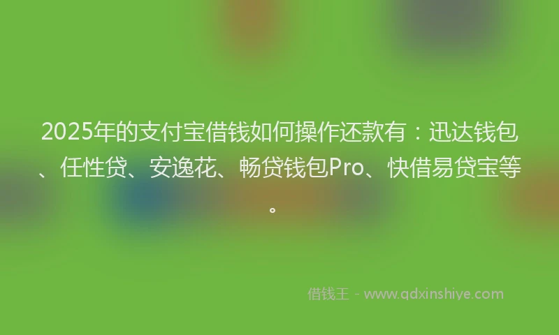 2025年的支付宝借钱如何操作还款有：迅达钱包、任性贷、安逸花、畅贷钱包Pro、快借易贷宝等。