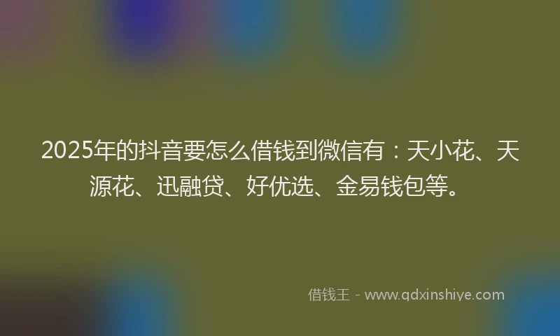 2025年的抖音要怎么借钱到微信有：天小花、天源花、迅融贷、好优选、金易钱包等。