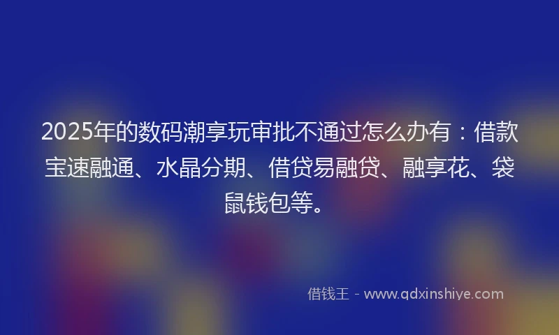 2025年的数码潮享玩审批不通过怎么办有：借款宝速融通、水晶分期、借贷易融贷、融享花、袋鼠钱包等。