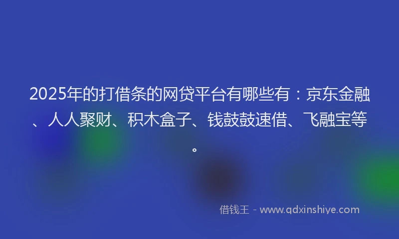 2025年的打借条的网贷平台有哪些有：京东金融、人人聚财、积木盒子、钱鼓鼓速借、飞融宝等。