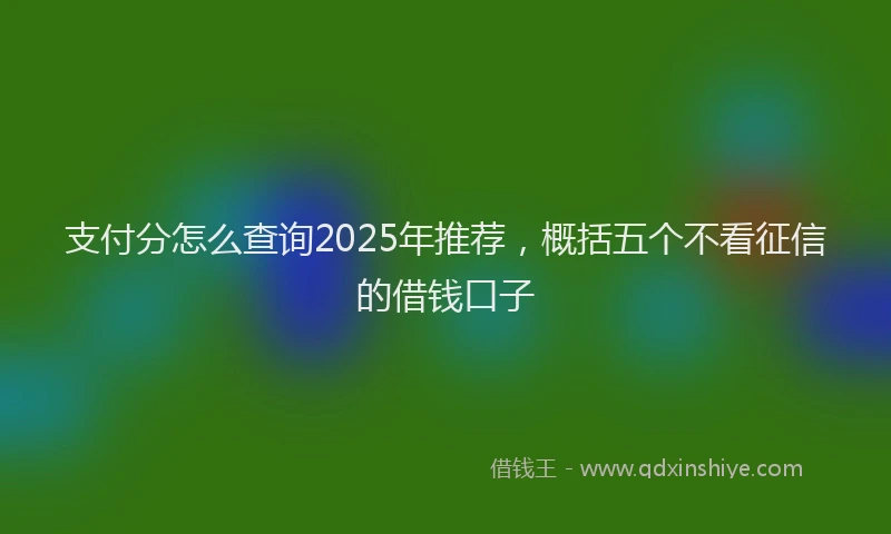 支付分怎么查询2025年推荐，概括五个不看征信的借钱口子