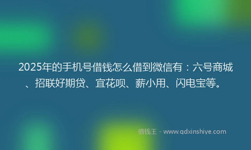 2025年的手机号借钱怎么借到微信有：六号商城、招联好期贷、宜花呗、薪小用、闪电宝等。