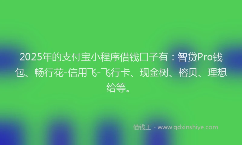 2025年的支付宝小程序借钱口子有：智贷Pro钱包、畅行花-信用飞-飞行卡、现金树、榕贝、理想给等。