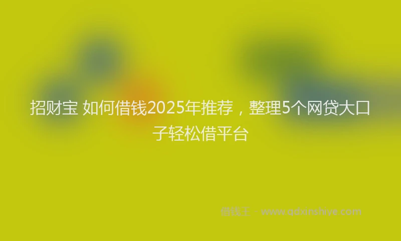 招财宝 如何借钱2025年推荐，整理5个网贷大口子轻松借平台