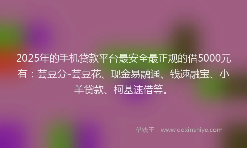 2025年的手机贷款平台最安全最正规的借5000元有：芸豆分-芸豆花、现金易融通、钱速融宝、小羊贷款、柯基速借等。