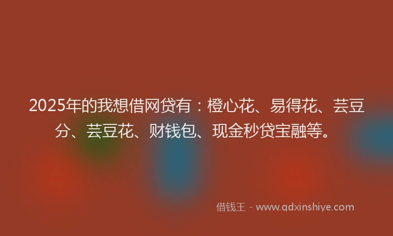 2025年的我想借网贷有：橙心花、易得花、芸豆分、芸豆花、财钱包、现金秒贷宝融等。