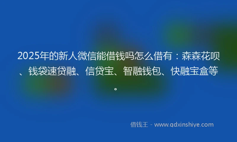 2025年的新人微信能借钱吗怎么借有：森森花呗、钱袋速贷融、信贷宝、智融钱包、快融宝盒等。