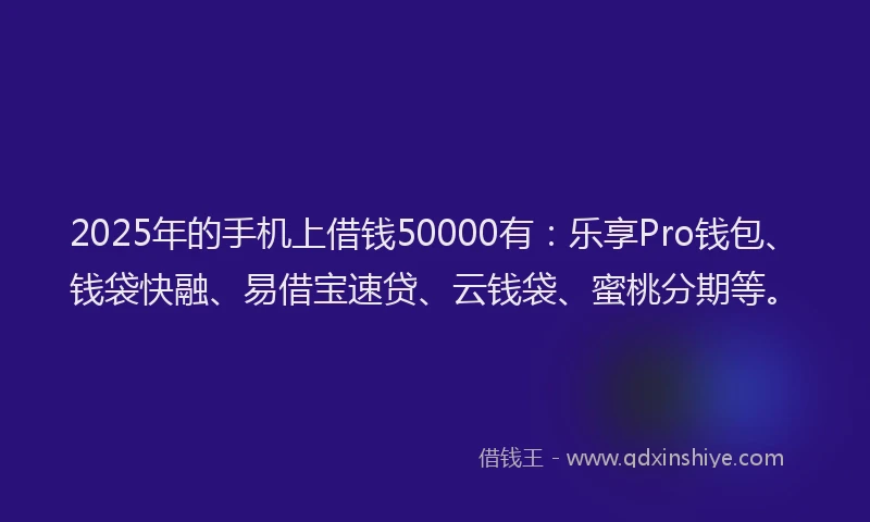 2025年的手机上借钱50000有：乐享Pro钱包、钱袋快融、易借宝速贷、云钱袋、蜜桃分期等。