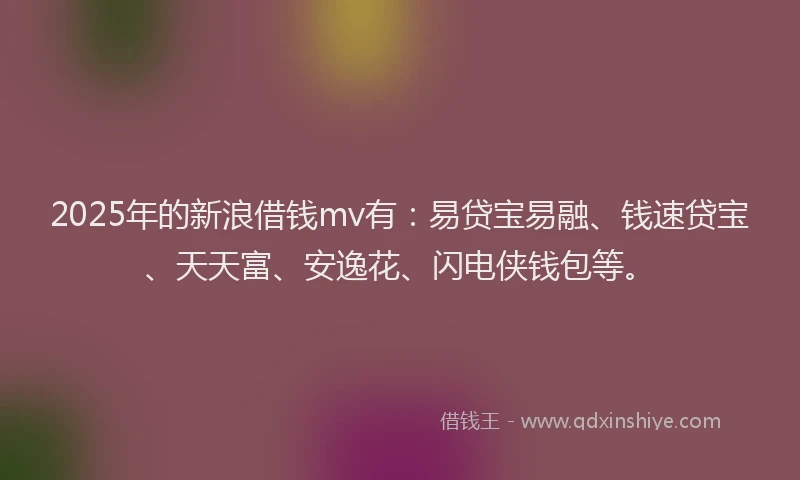 2025年的新浪借钱mv有：易贷宝易融、钱速贷宝、天天富、安逸花、闪电侠钱包等。