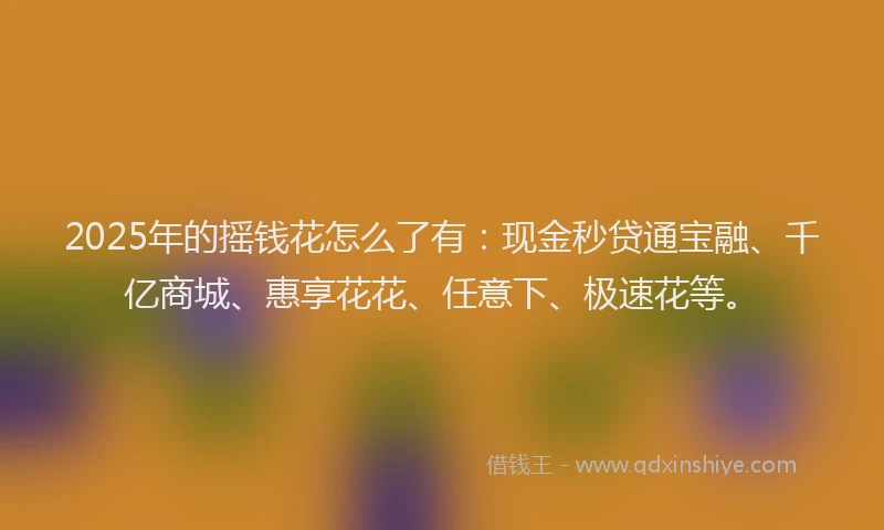 2025年的摇钱花怎么了有：现金秒贷通宝融、千亿商城、惠享花花、任意下、极速花等。