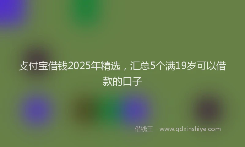 攴付宝借钱2025年精选，汇总5个满19岁可以借款的口子