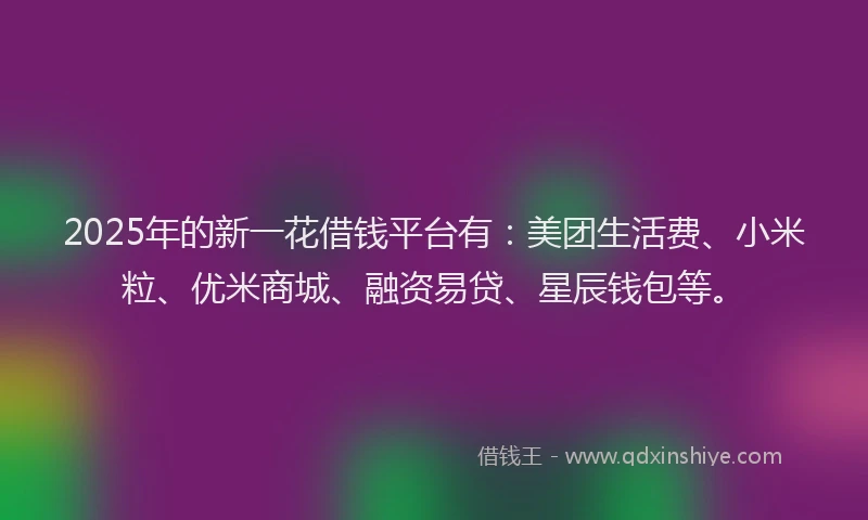 2025年的新一花借钱平台有：美团生活费、小米粒、优米商城、融资易贷、星辰钱包等。
