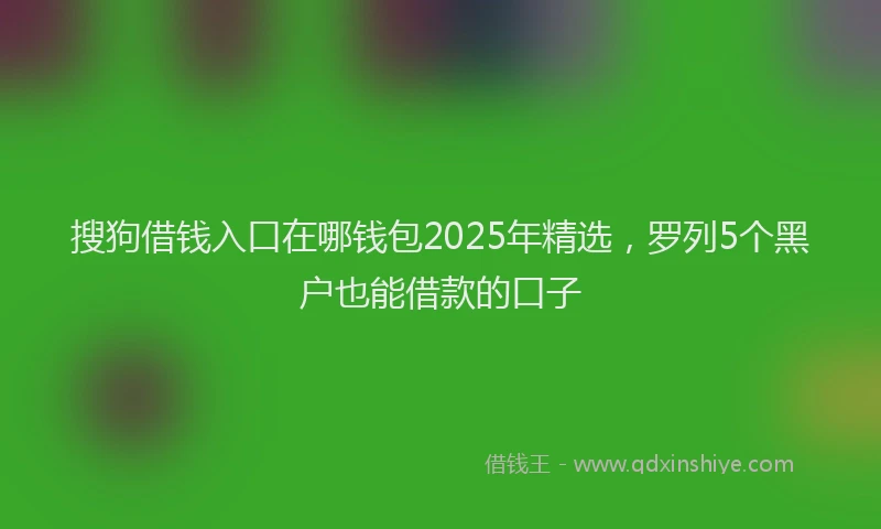 搜狗借钱入口在哪钱包2025年精选，罗列5个黑户也能借款的口子
