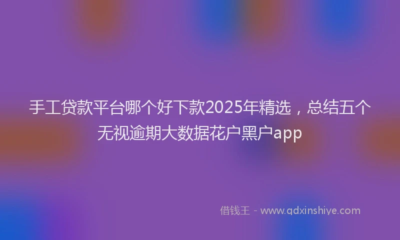 手工贷款平台哪个好下款2025年精选，总结五个无视逾期大数据花户黑户app