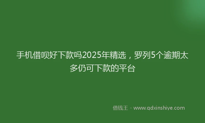 手机借呗好下款吗2025年精选，罗列5个逾期太多仍可下款的平台