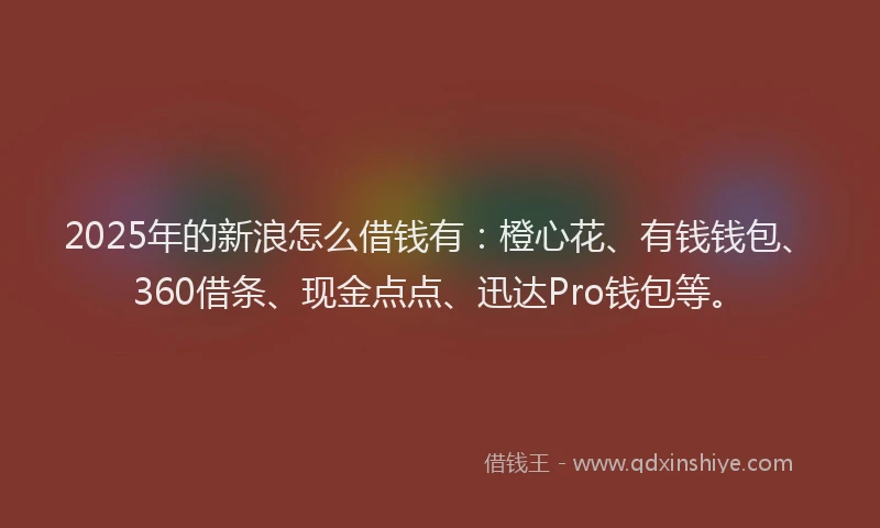 2025年的新浪怎么借钱有：橙心花、有钱钱包、360借条、现金点点、迅达Pro钱包等。