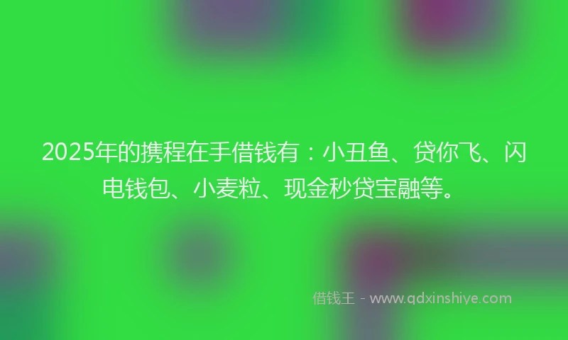 2025年的携程在手借钱有：小丑鱼、贷你飞、闪电钱包、小麦粒、现金秒贷宝融等。