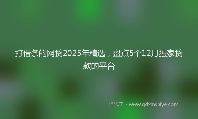 打借条的网贷2025年精选，盘点5个12月独家贷款的平台
