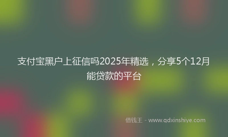 支付宝黑户上征信吗2025年精选，分享5个12月能贷款的平台