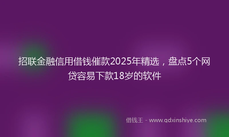 招联金融信用借钱催款2025年精选，盘点5个网贷容易下款18岁的软件