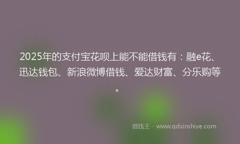 2025年的支付宝花呗上能不能借钱有：融e花、迅达钱包、新浪微博借钱、爱达财富、分乐购等。