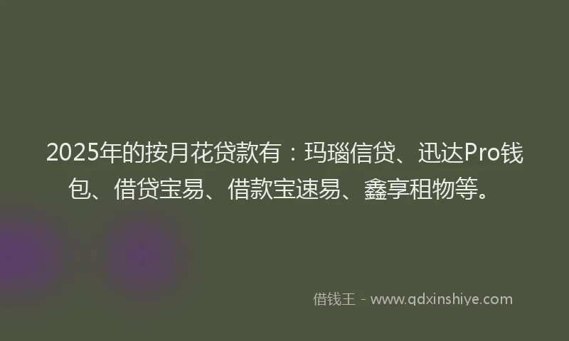 2025年的按月花贷款有：玛瑙信贷、迅达Pro钱包、借贷宝易、借款宝速易、鑫享租物等。