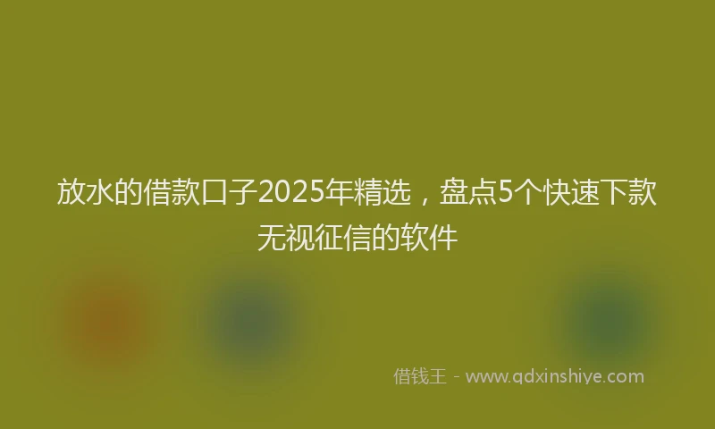 放水的借款口子2025年精选，盘点5个快速下款无视征信的软件