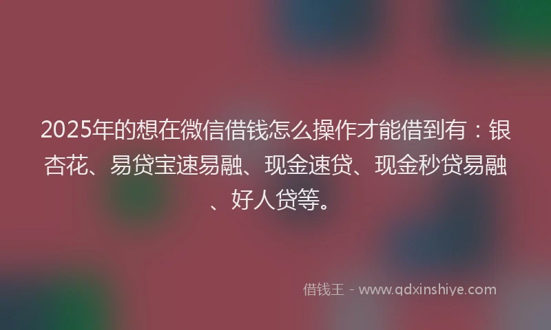 2025年的想在微信借钱怎么操作才能借到有：银杏花、易贷宝速易融、现金速贷、现金秒贷易融、好人贷等。