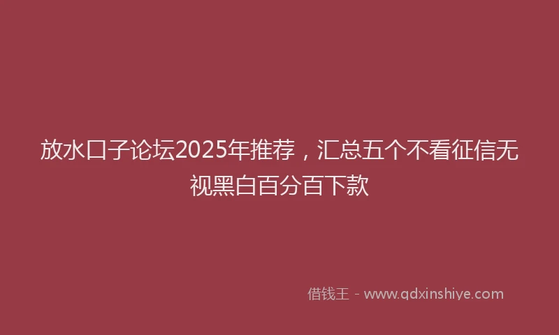 放水口子论坛2025年推荐，汇总五个不看征信无视黑白百分百下款