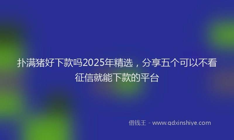 扑满猪好下款吗2025年精选，分享五个可以不看征信就能下款的平台