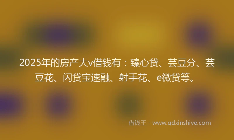 2025年的房产大v借钱有：臻心贷、芸豆分、芸豆花、闪贷宝速融、射手花、e微贷等。