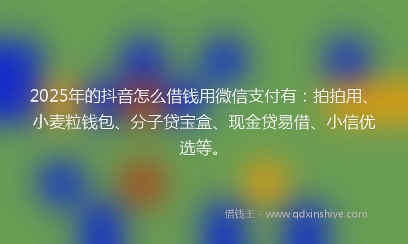 2025年的抖音怎么借钱用微信支付有：拍拍用、小麦粒钱包、分子贷宝盒、现金贷易借、小信优选等。
