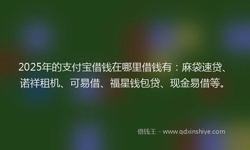 2025年的支付宝借钱在哪里借钱有：麻袋速贷、诺祥租机、可易借、福星钱包贷、现金易借等。