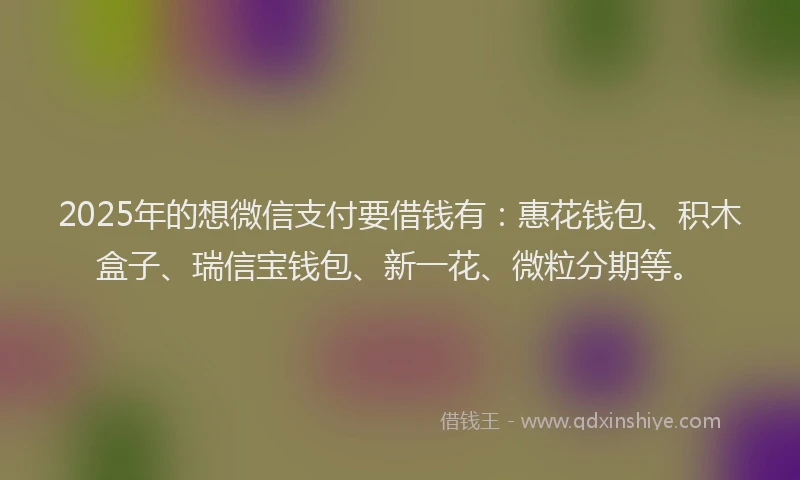 2025年的想微信支付要借钱有：惠花钱包、积木盒子、瑞信宝钱包、新一花、微粒分期等。