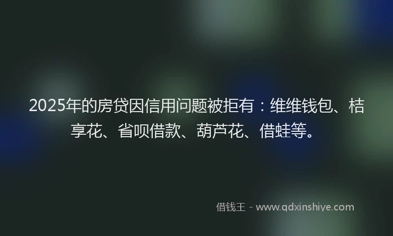 2025年的房贷因信用问题被拒有：维维钱包、桔享花、省呗借款、葫芦花、借蛙等。
