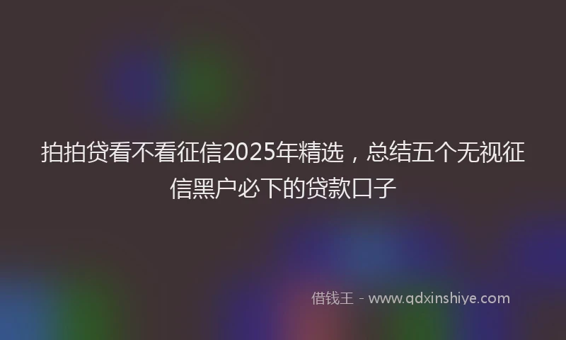 拍拍贷看不看征信2025年精选，总结五个无视征信黑户必下的贷款口子