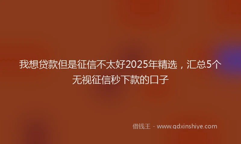 我想贷款但是征信不太好2025年精选，汇总5个无视征信秒下款的口子