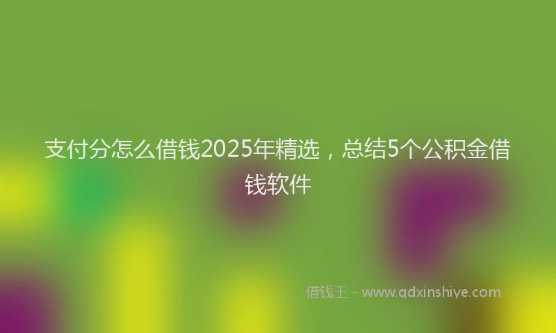 支付分怎么借钱2025年精选，总结5个公积金借钱软件