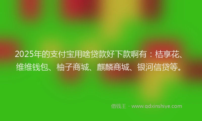 2025年的支付宝用啥贷款好下款啊有：桔享花、维维钱包、柚子商城、麒麟商城、银河信贷等。