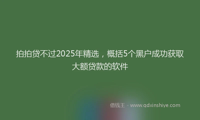 拍拍贷不过2025年精选，概括5个黑户成功获取大额贷款的软件